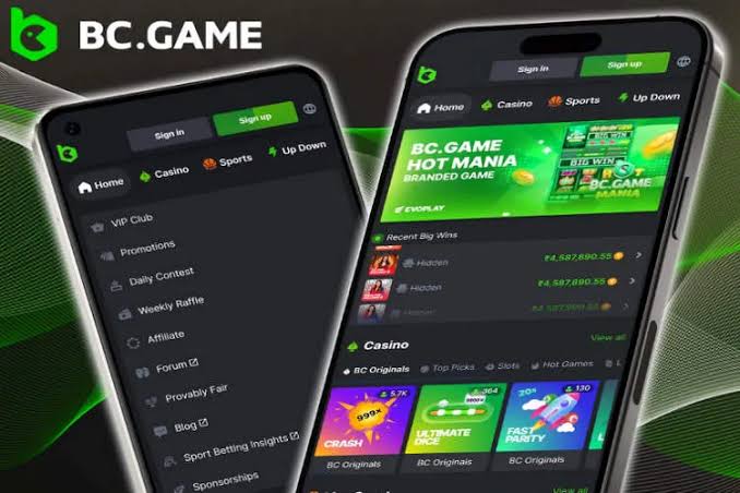 Official BC.Game Mirror Sites Everything You Need to Know