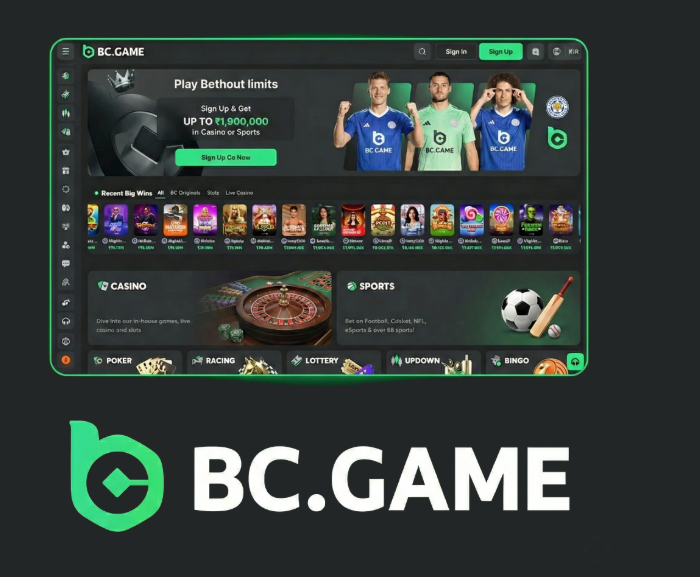 Maximize Your Rewards BC.Game Bonuses and Promo Codes Guide