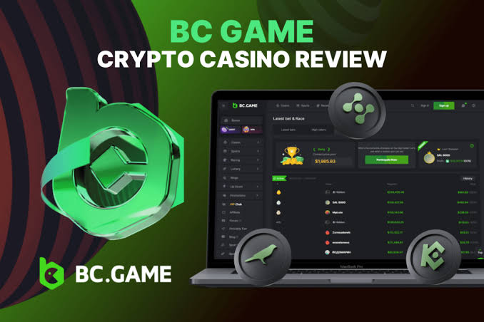 Step-by-Step Guide to BC.Game Registration Process -229686619